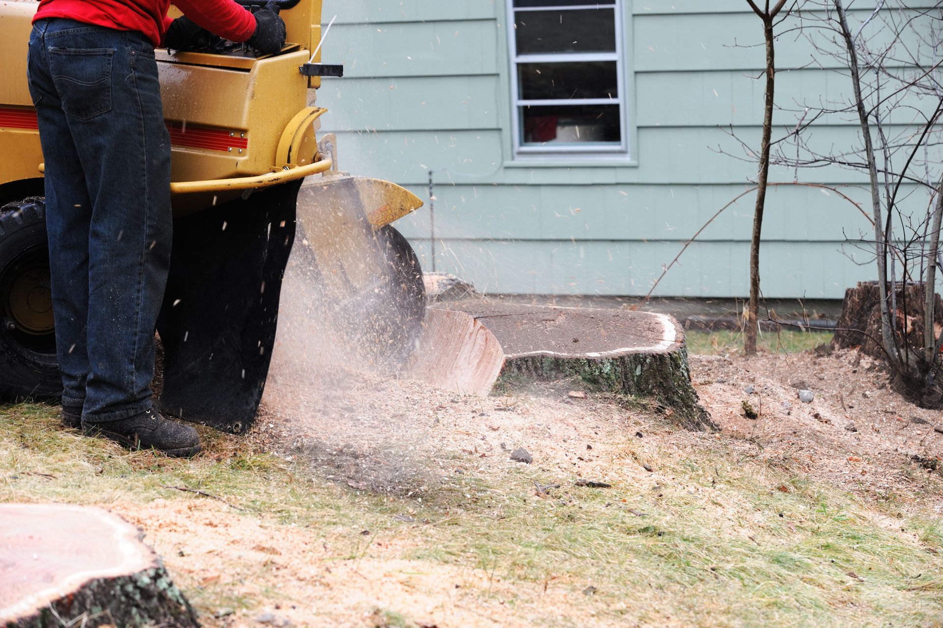 A partial view of an arborist cutting a tree stump with a stump grinder in front of a home.