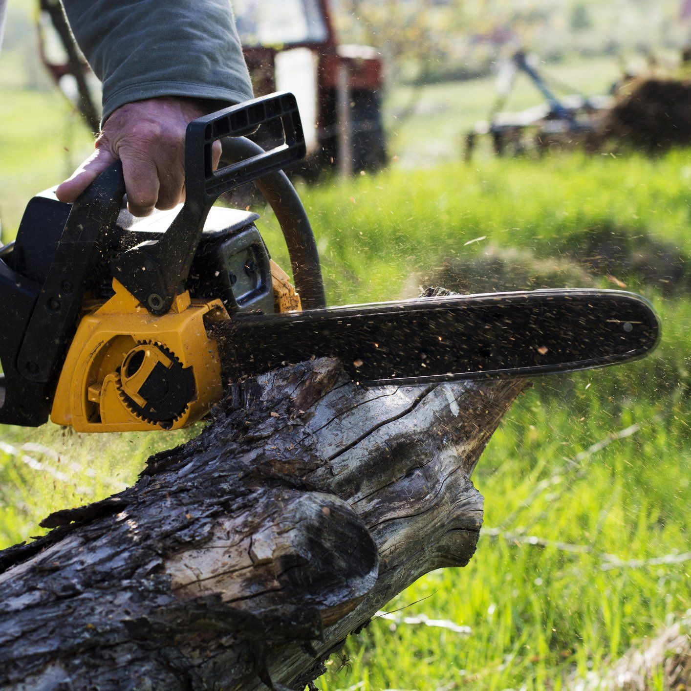 Man Cutting a Tree — Ipswich, QLD — Mr Trees