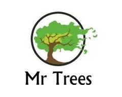 Mr Trees