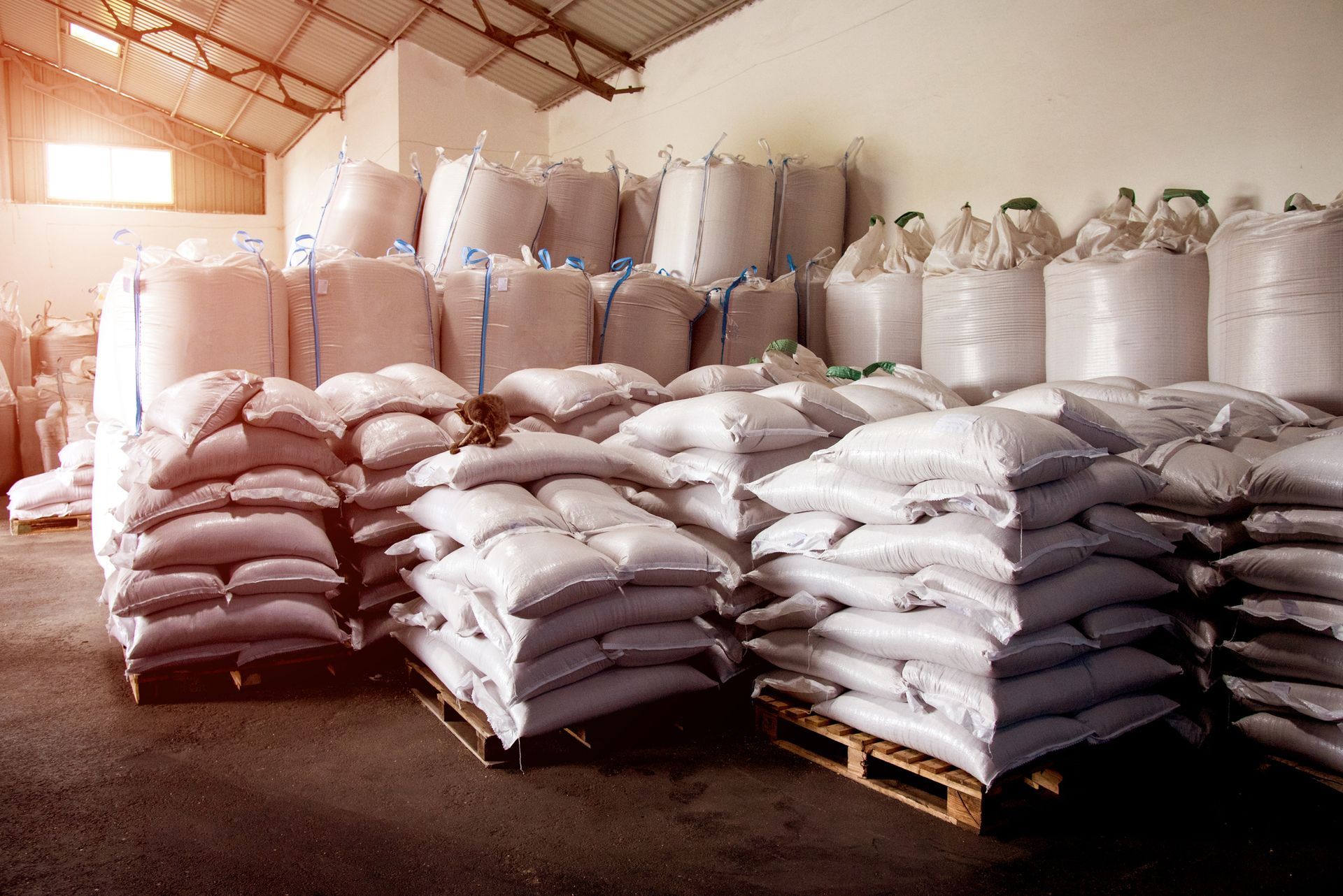 A warehouse filled with lots of bags and pallets.