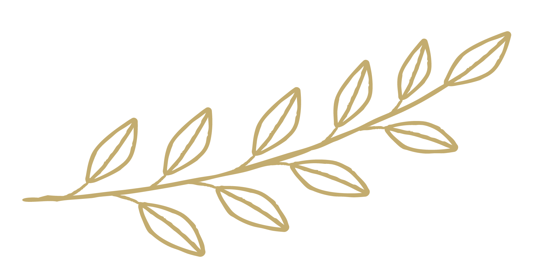 gold laurel