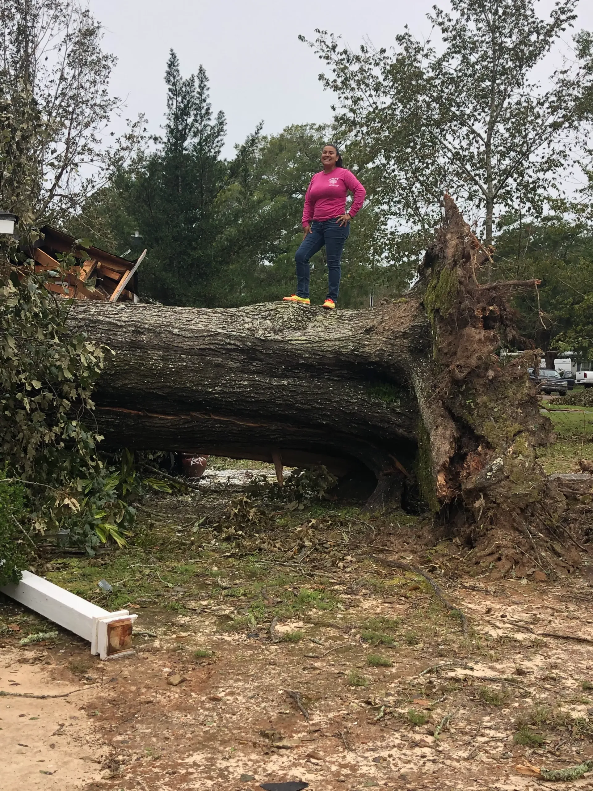 Woman stands on a fallen tree trunk. Green and brown landscape. Overcast day.