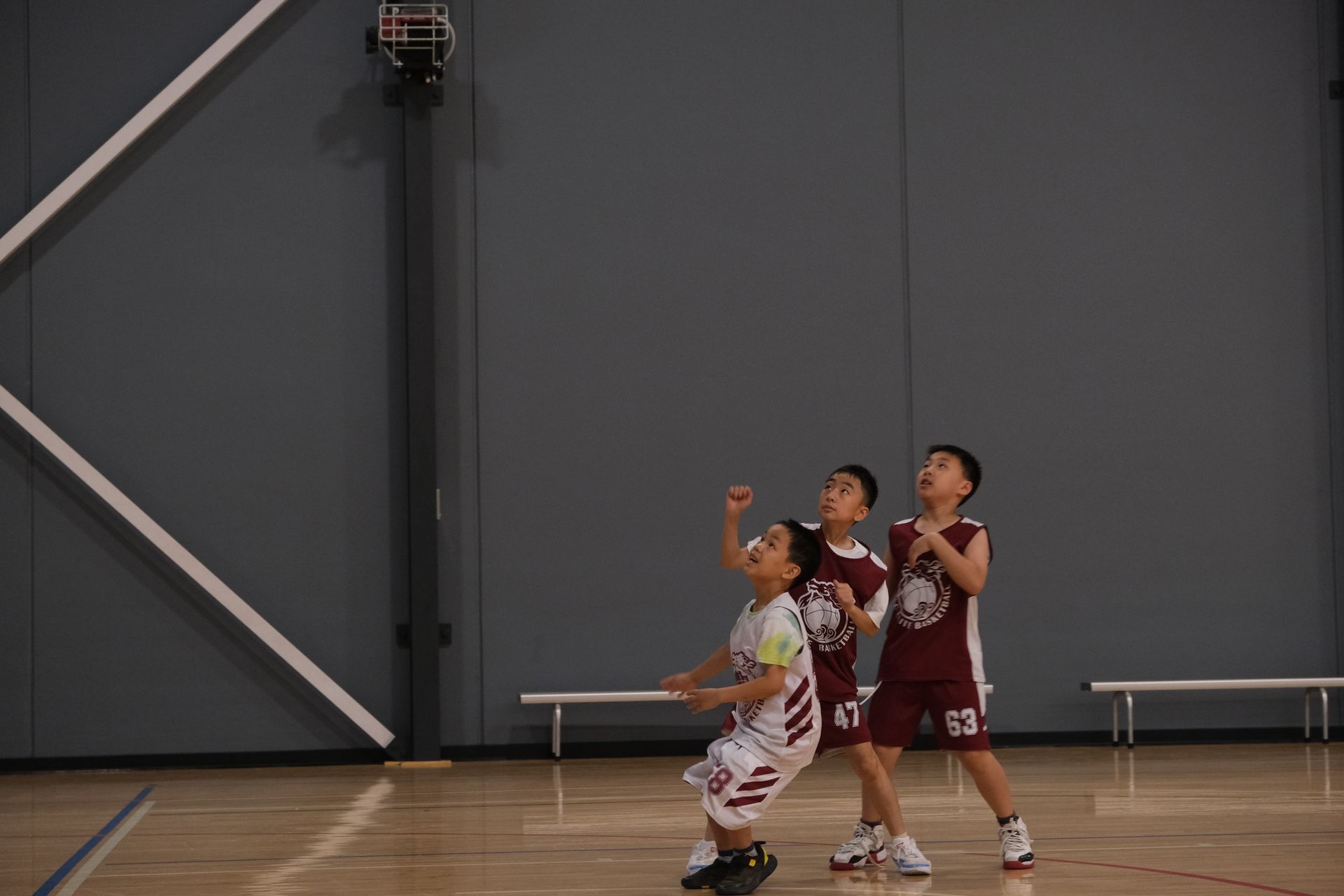 A group of young boys are playing basketball on a court.