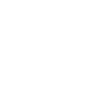 White background.