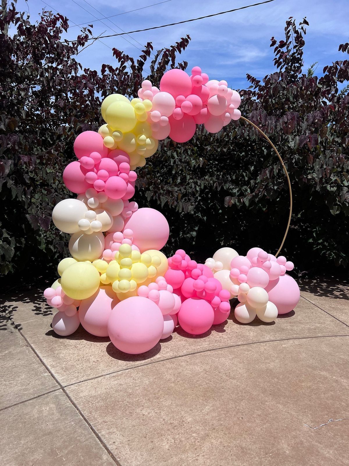 Seattle Balloon Artist | Balloon Decor Services