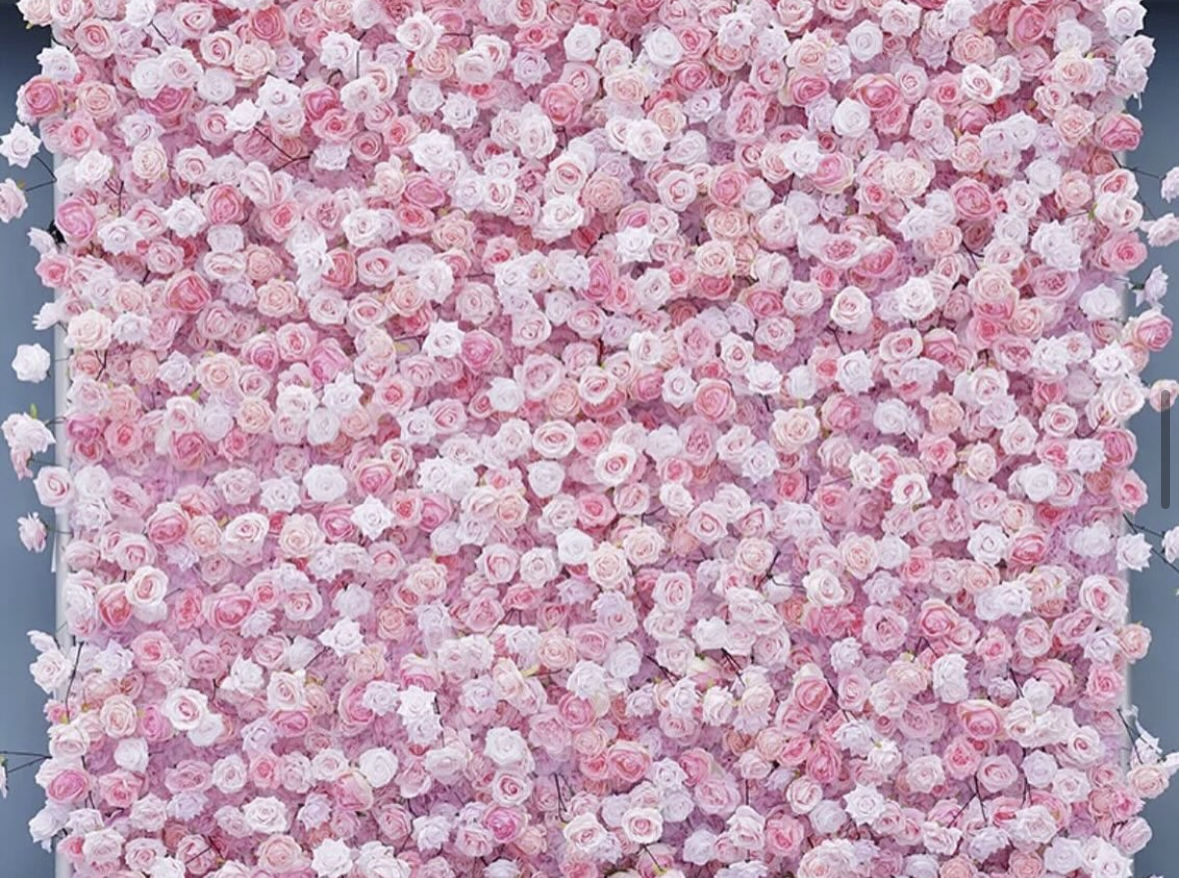 A wall of pink and white roses on a black background.