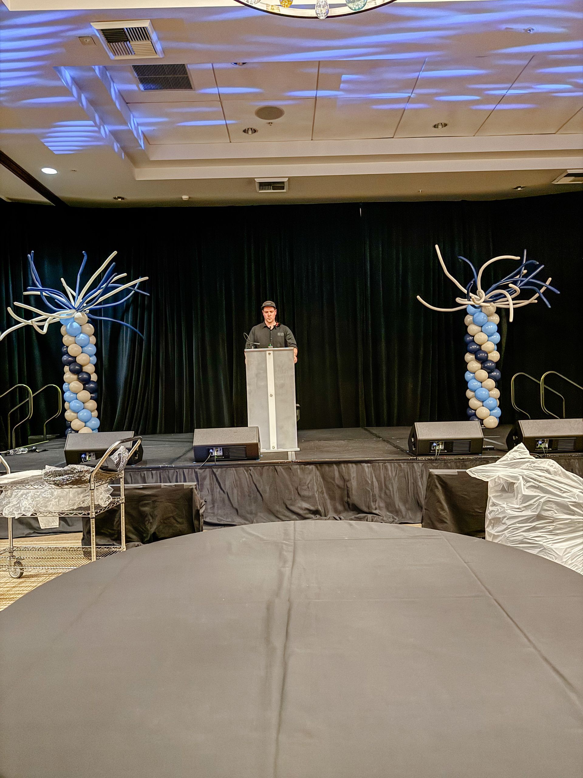 Person on a stage, speaking at an event. Balloon trees flank the person, dark curtain backdrop.