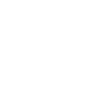 IREM logo
