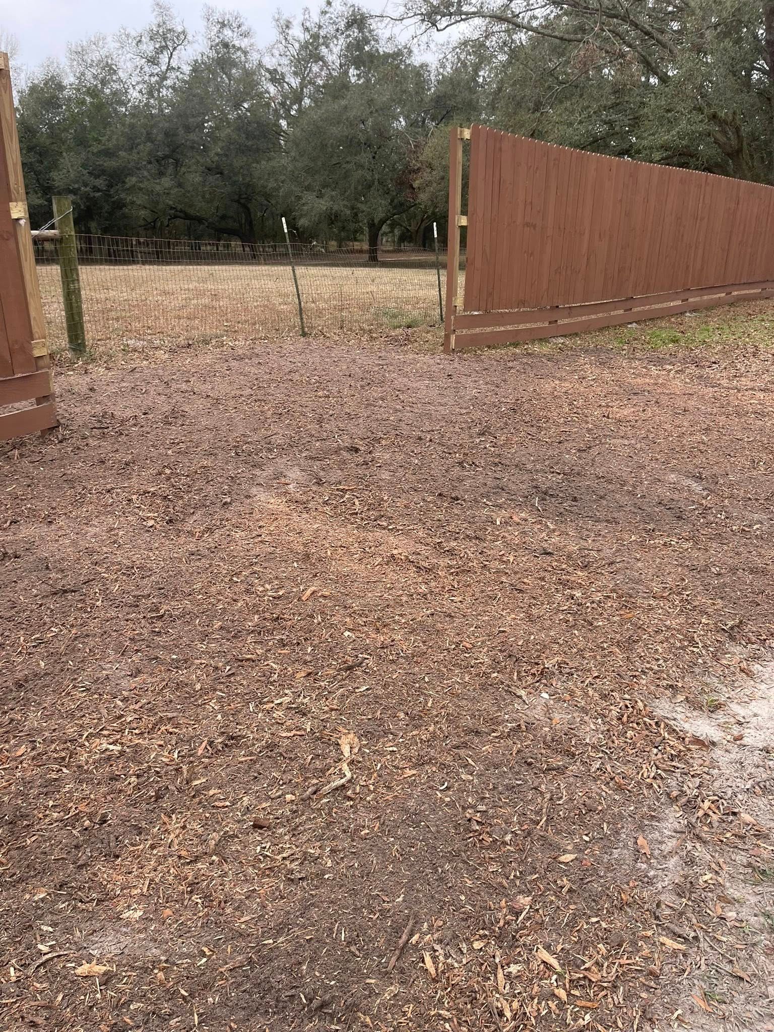 There is a wooden fence in the background and a lot of wood chips on the ground.