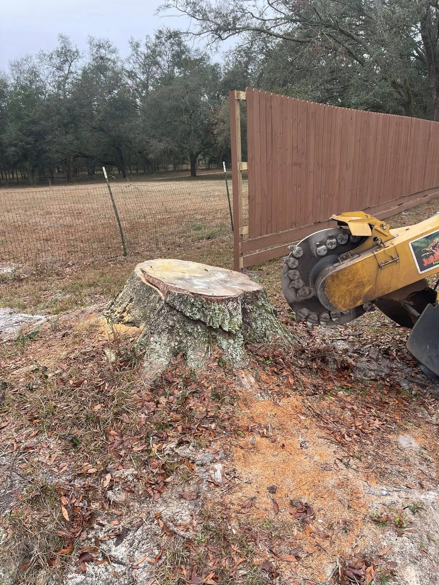 A stump grinder is cutting a tree stump in a field.