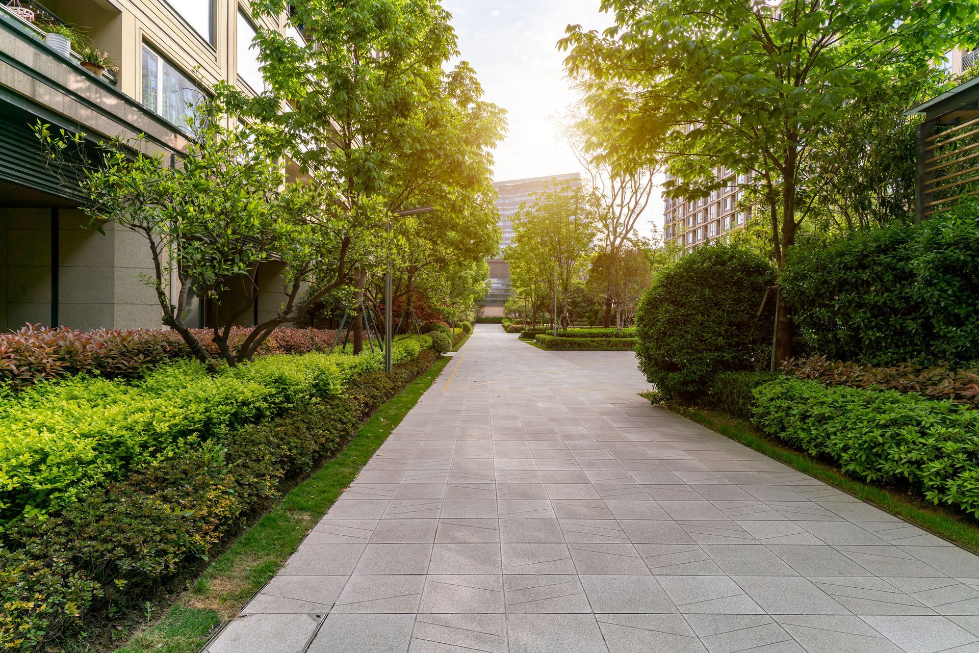 Worker doing carpenter.