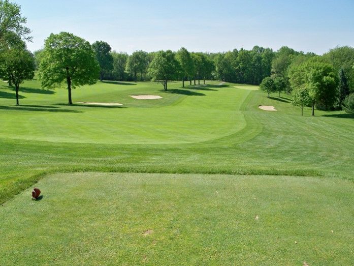 A golf ball is sitting on the green of a golf course