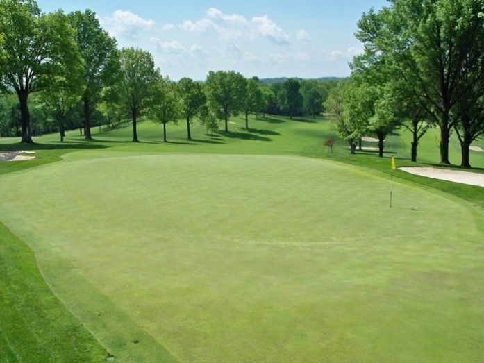 A golf course with a green and trees in the background