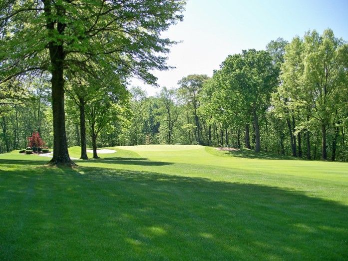 A lush green field with trees in the background