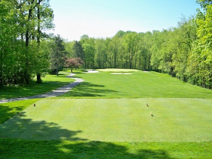 A golf course with a green and trees in the background