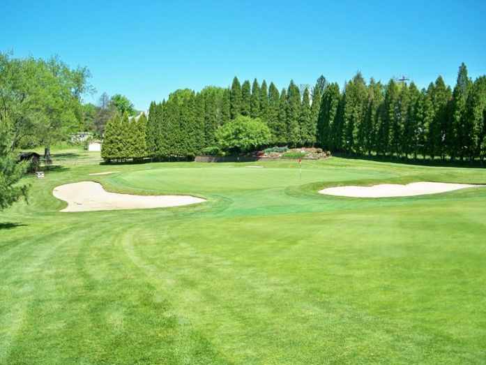 A lush green golf course with trees in the background