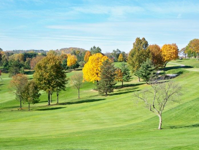 A golf course with trees and grass on a sunny day