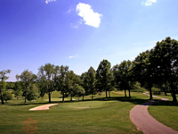 A golf course with trees and a path going through it