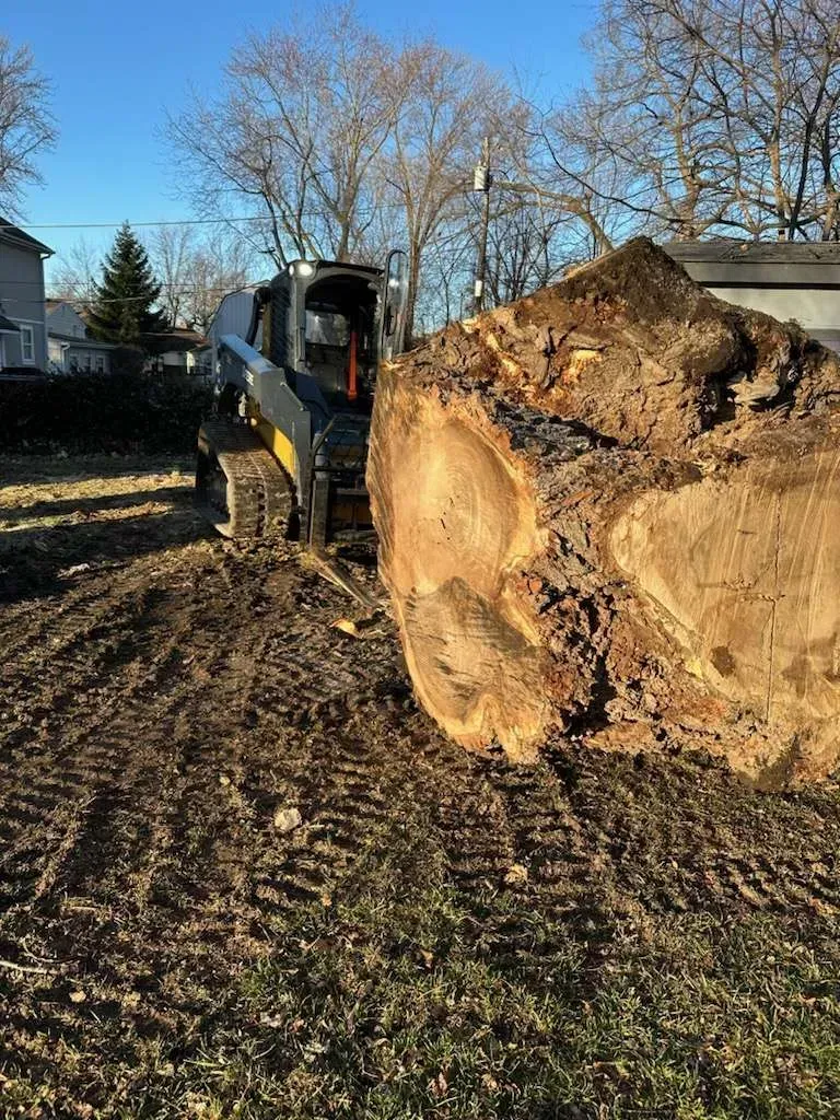 Post‑Storm Tree Care in Cedar Rapids & Iowa City