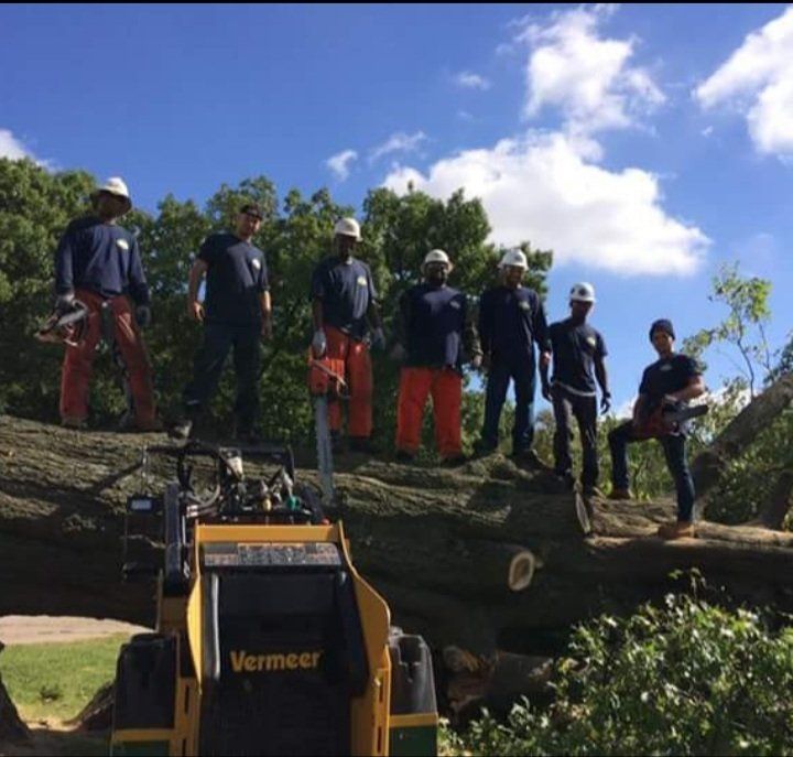 Frank's Anamosa Tree Service