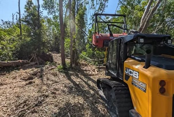 Brush Clearing and Lot Cleanup: Turning Unusable Space Into Marketable Property