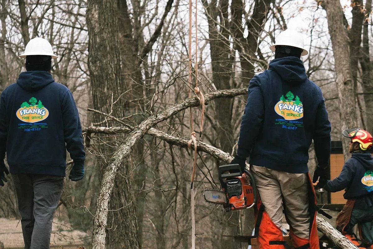 Three Worker — Marion, IA — Frank’s Tree Service