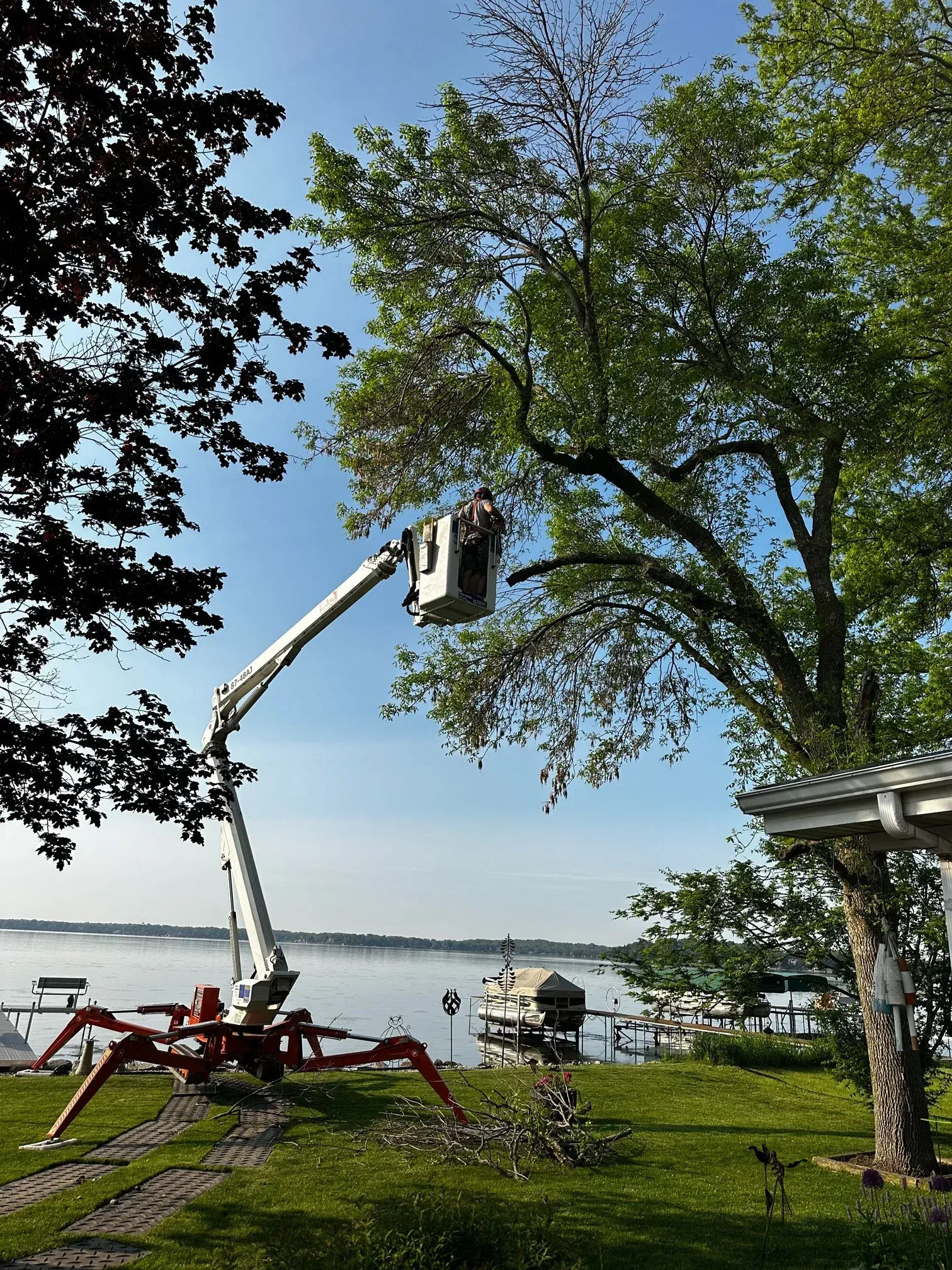 The True Cost of Tree Removal: What Affects the Price and Why