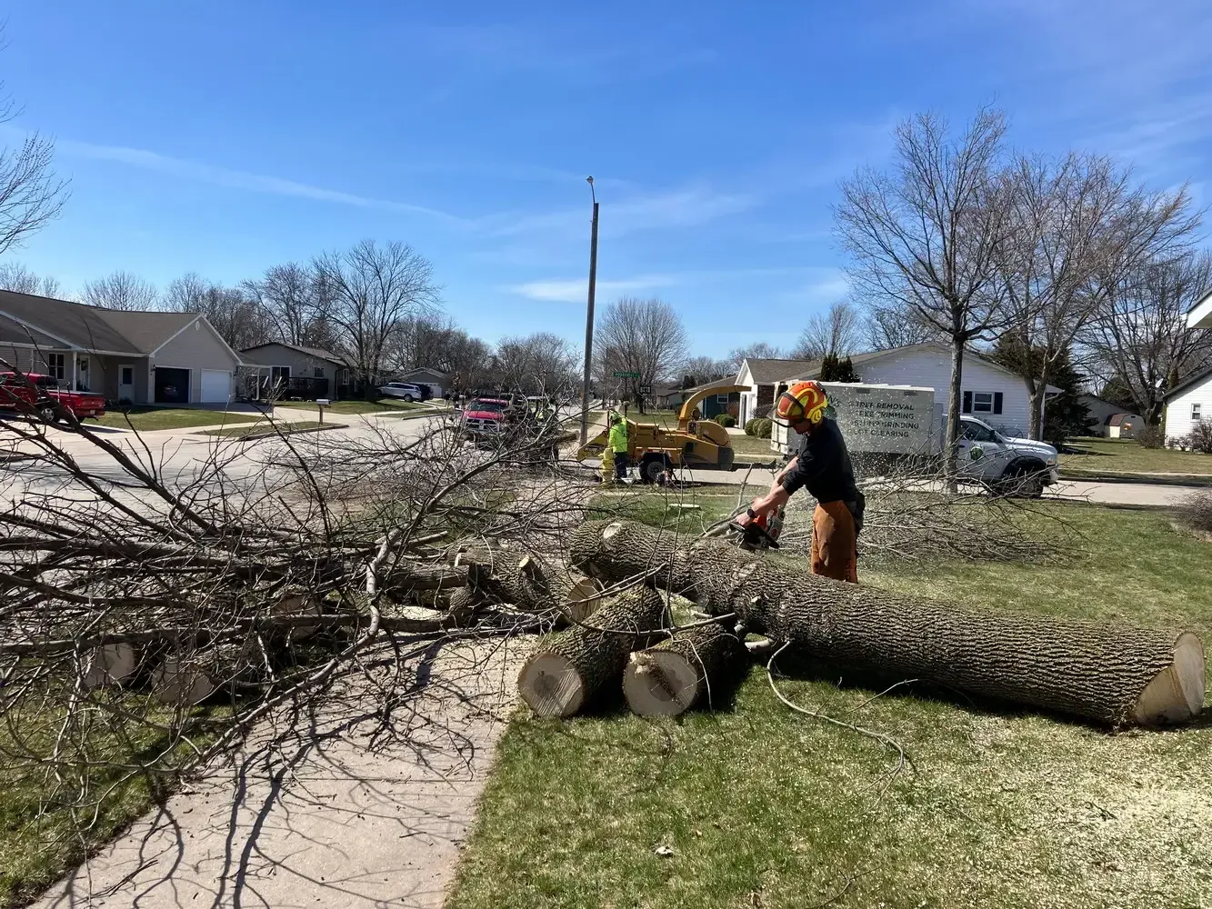 Winter Tree Care Tips: Prevent Fallen Limbs and Power Outages