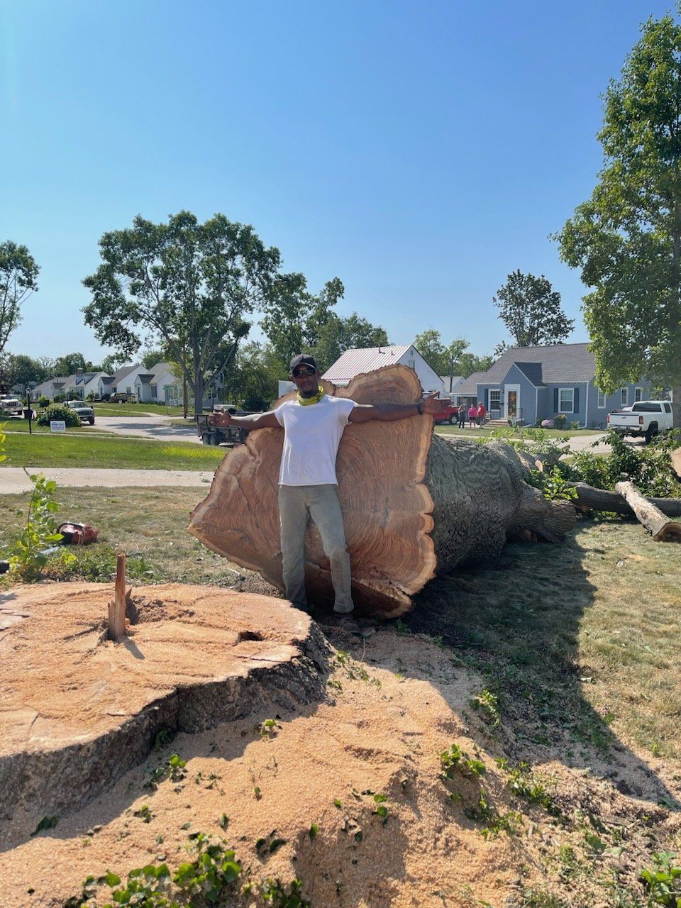 Frank's Tree removal Tree Service