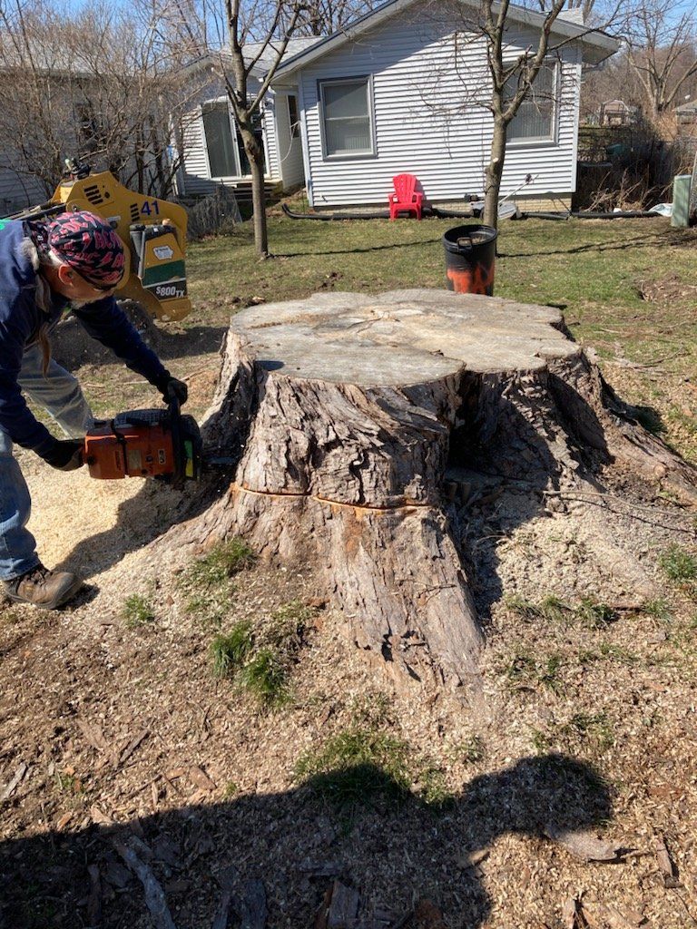 Frank's Stump grinding Tree Service