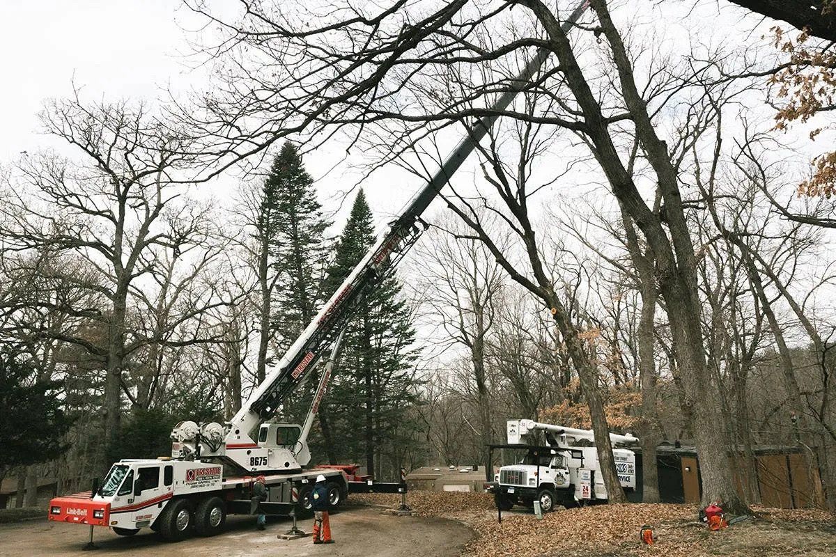 Two Vehicle — Marion, IA — Frank’s Tree Service