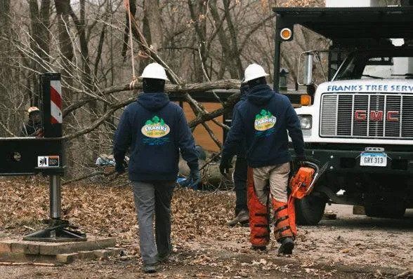 Two Workers Walking — Marion, IA — Frank’s Tree Service