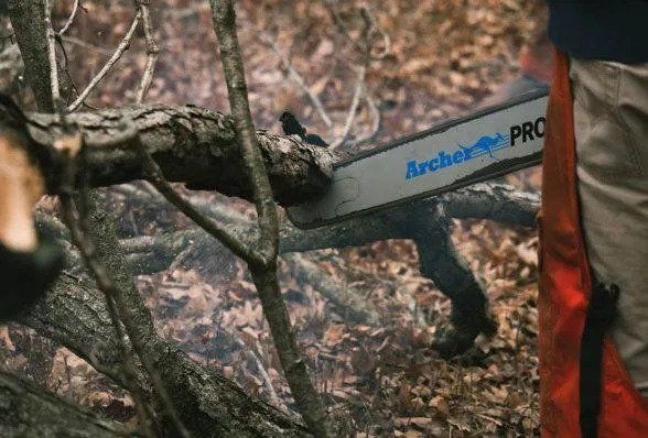 Cutting Of Tree — Marion, IA — Frank’s Tree Service