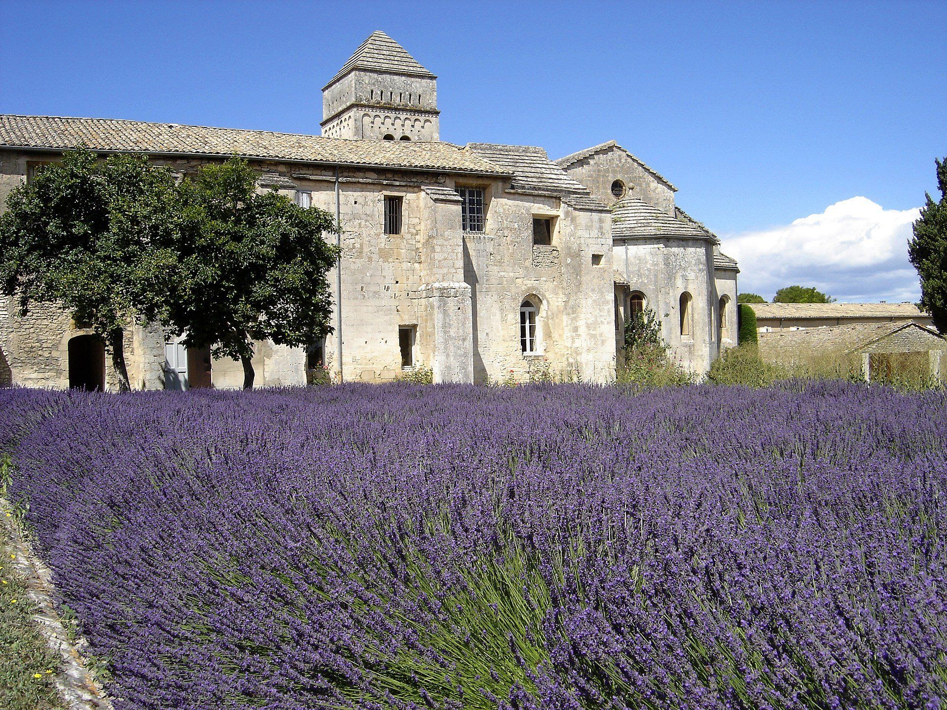 The Monastery of Saint-Paul de Mausole at Saint-Rémy-de-Provence, Bouches-du-Rhône, France. Photo: EmDee
