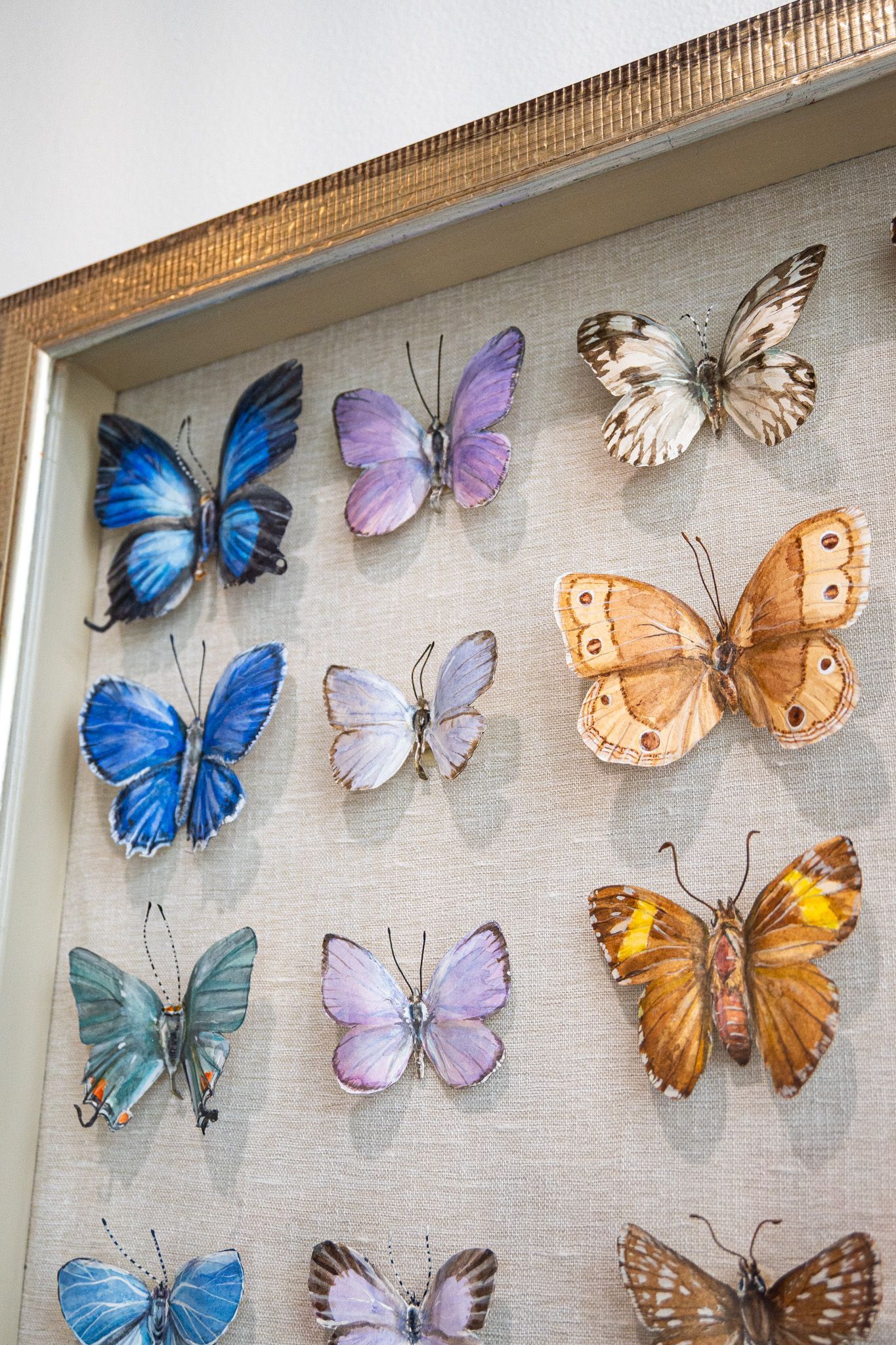 Multi Color Butterflies