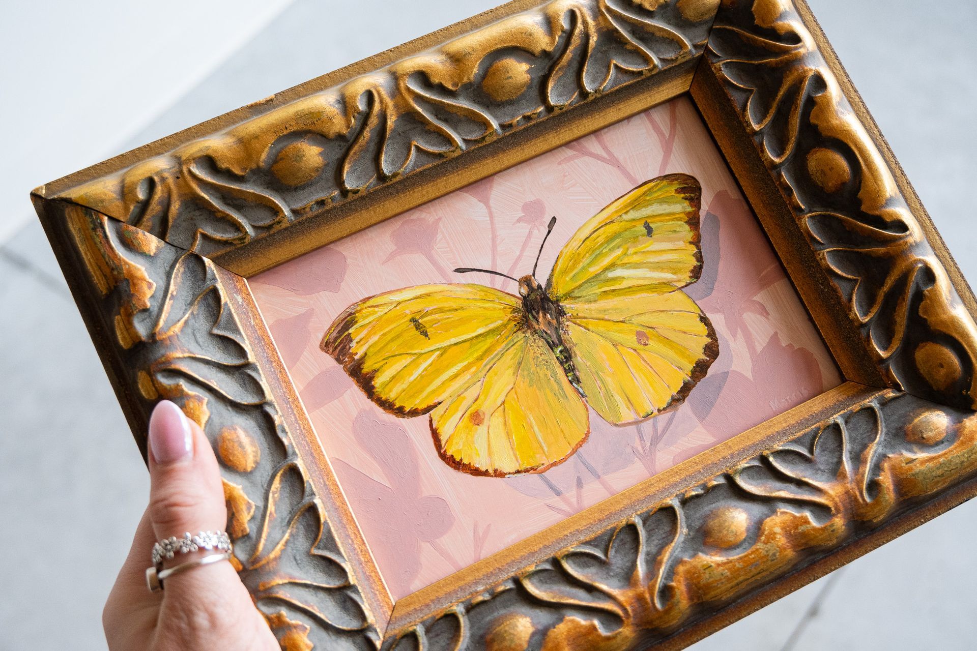 LIMITED RELEASE
Kevin Brent Morris