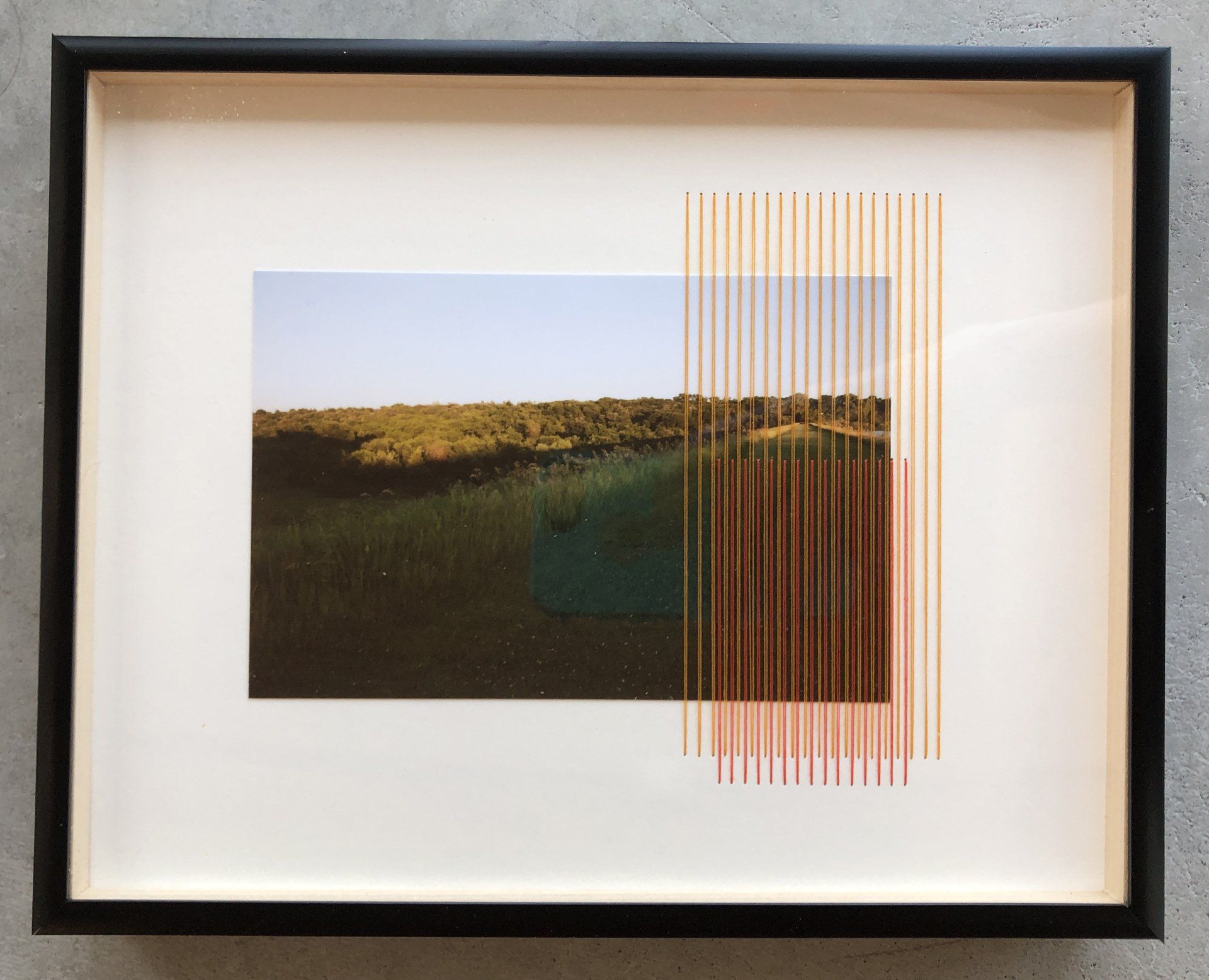 Olivia Valentine, Field Edging #16 (Viking Lake), Photograph and thread on archival board, 8 x 10 in, $400