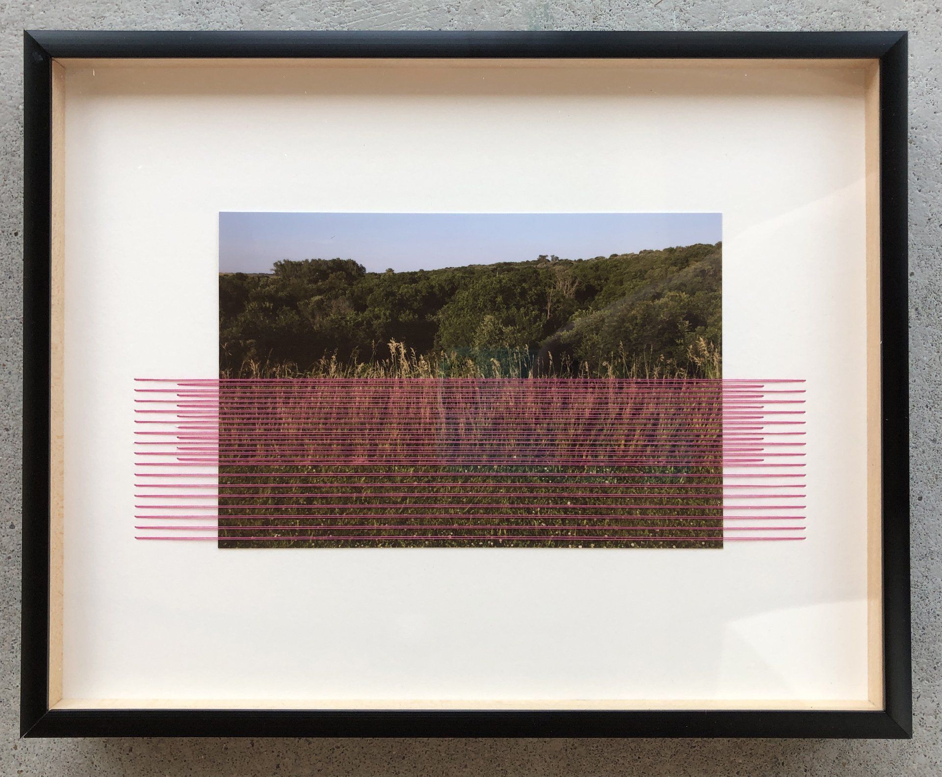 Olivia Valentine, Field Edging #15 (Viking Lake), (1/3) Photograph and thread on archival board, 8 x 10 in, $400