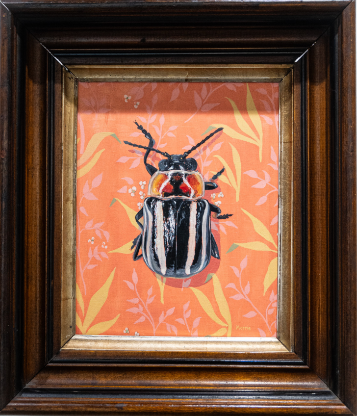 Kevin Brent Morris beetle artwork