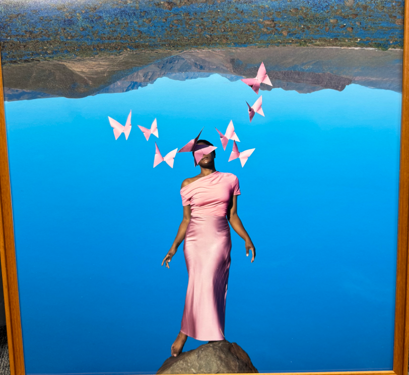 Woman pictured in pink dress with pink butterflies fluttering around with mountain in background upside down