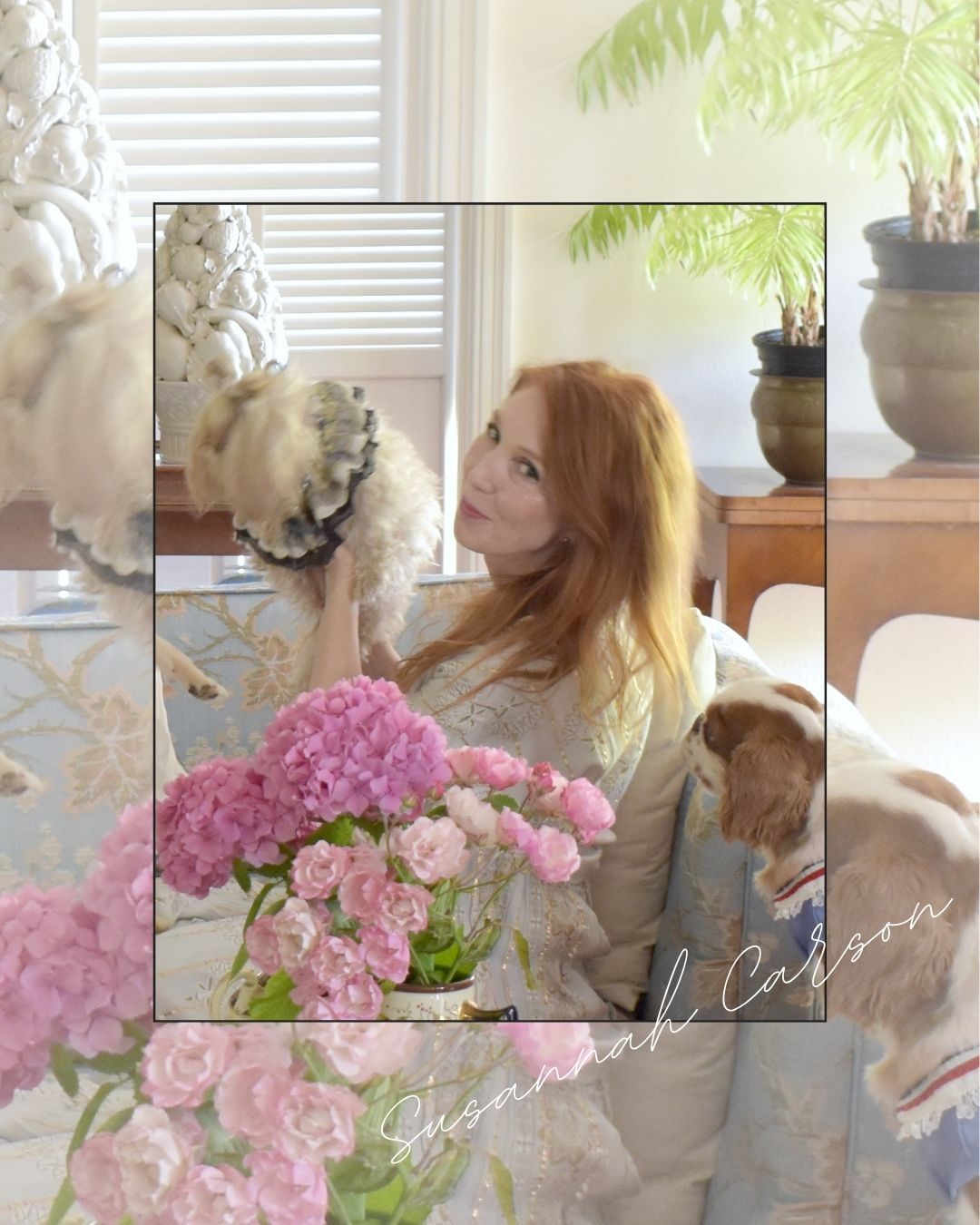 Susannah Carson & her dogs