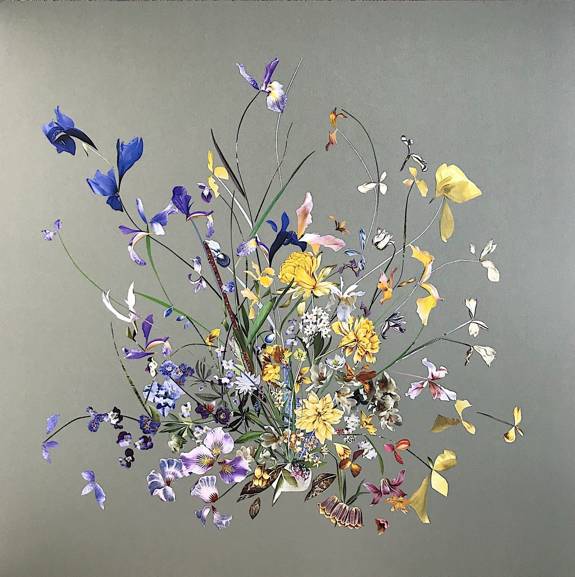 Marcy Cook, floral collage