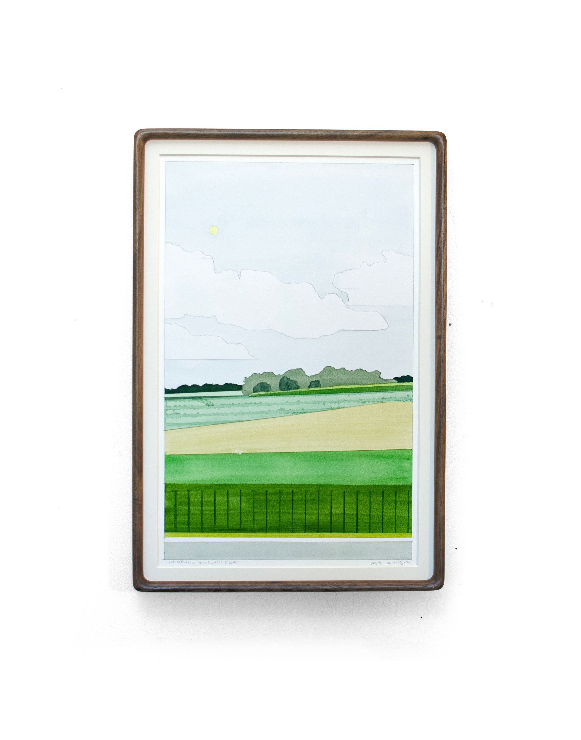 Aly Ytterberg Field Paintings