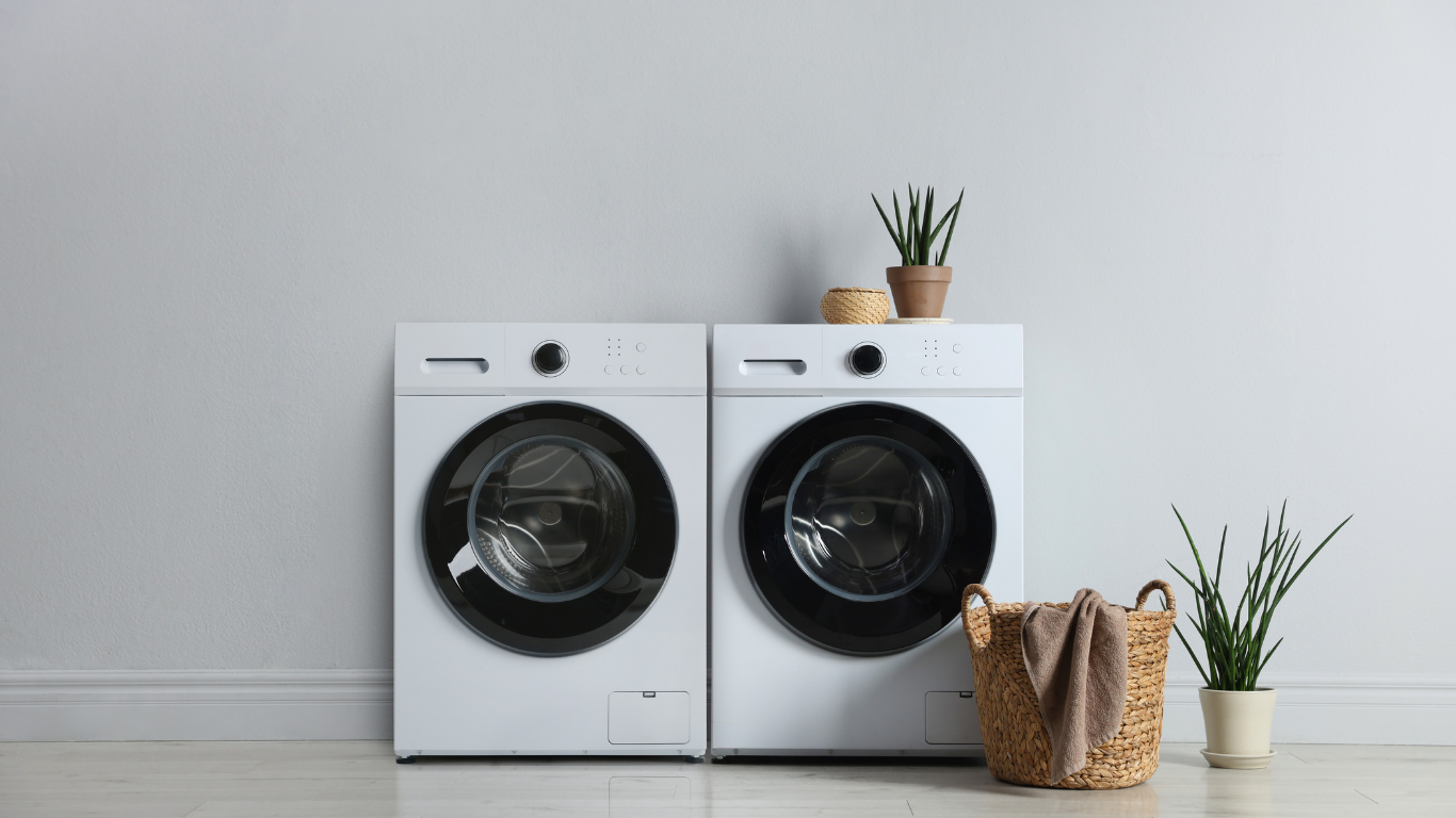 Two white front-loading washing machines stand side-by-side against a light wall, with a woven laundry basket and plants.