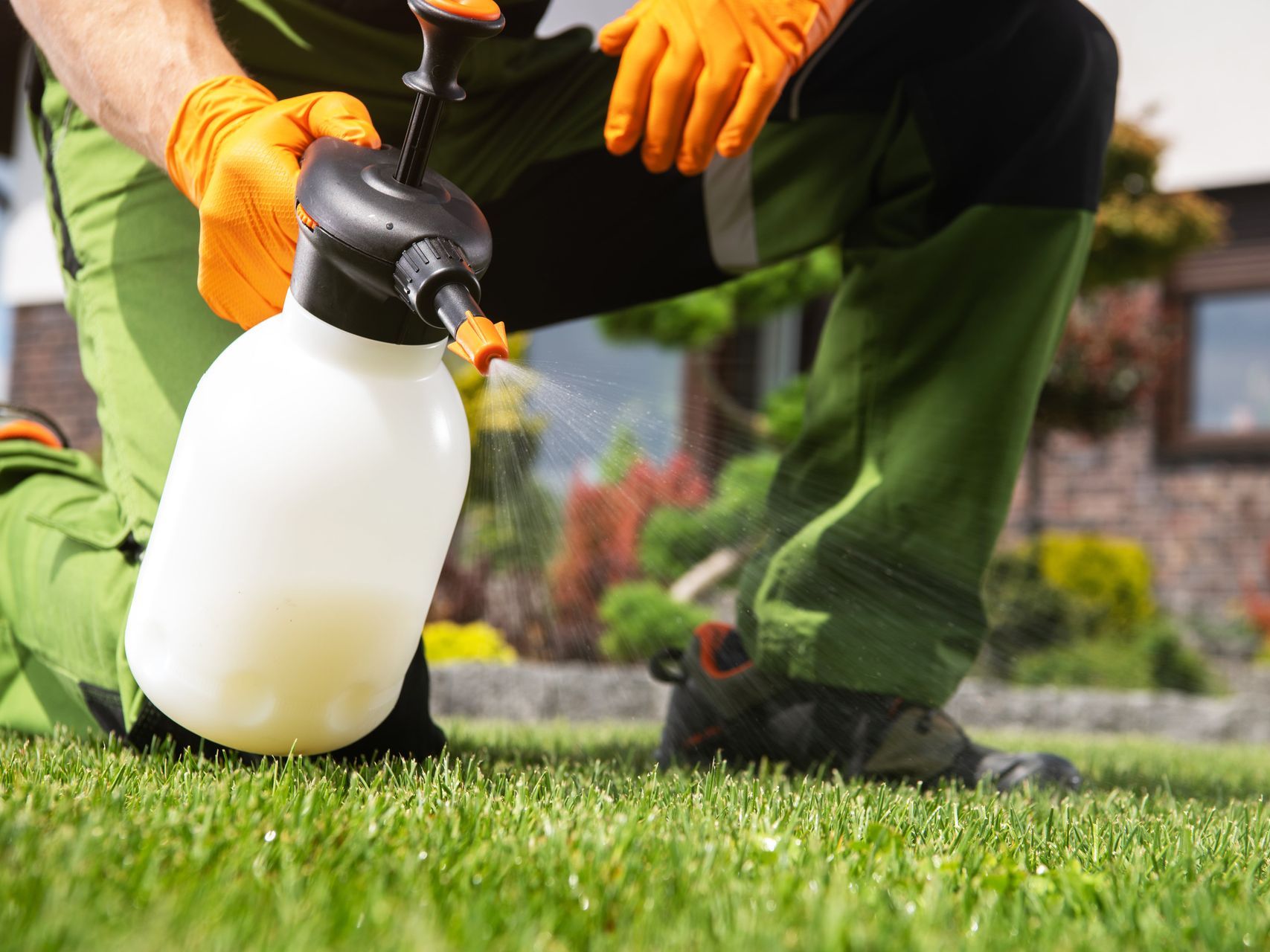 A man is spraying a lawn with a sprayer.