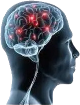 Profilo laterale di una testa umana con un cervello luminoso che mostra punti neurali rossi attivi e un midollo spinale visibile.