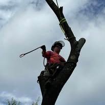 Tree worker in a helmet and red shirt harnessed in a tree, holding a pruning saw against a cloudy sky