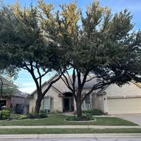 Suburban house with two large trees shading the front yard and driveway