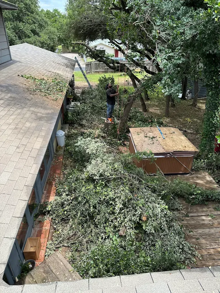 Backyard with fallen tree branches, a person near a garden shed, and a sloped roof at left