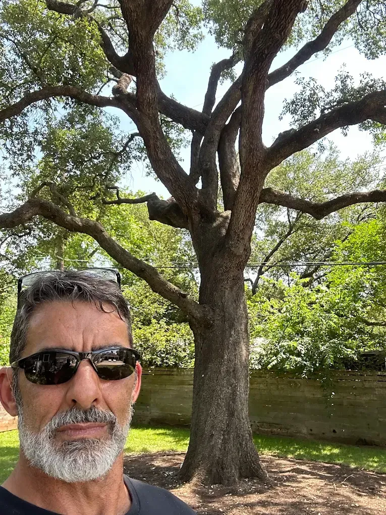 Man wearing sunglasses in front of a large tree and stone wall on a sunny day